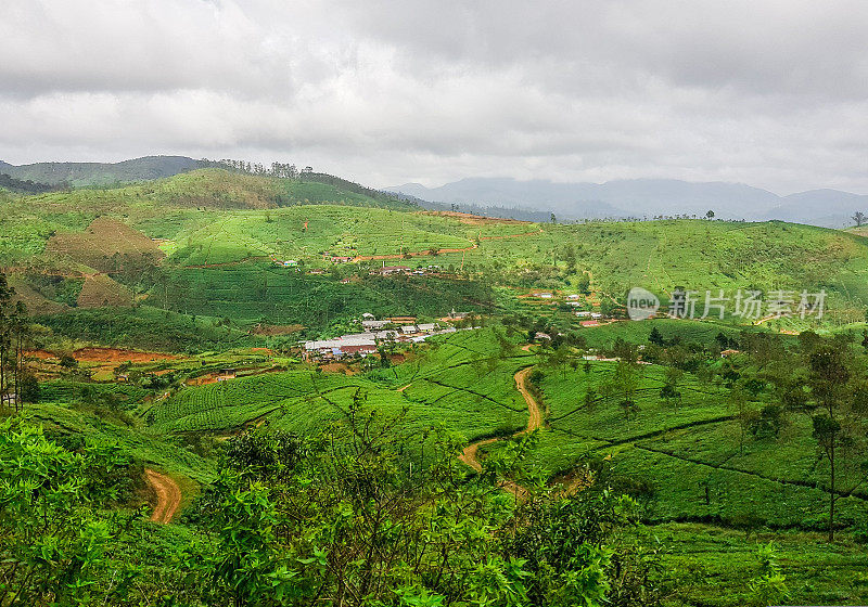 在斯里兰卡的火车旅行通过茶叶种植园Ella, Nuwara Eliya和Kandy